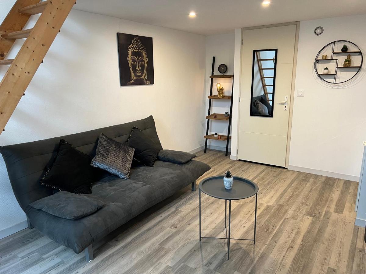 Appartement Cosy Proche Gare Τουλούζη Εξωτερικό φωτογραφία